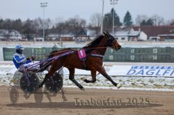 Dateiname=20251226_r02_036_R02_0180.jpg
Dateigröße=248KB
Abmessungen: 1000x667
hinzugefügt am: 27. Dezember 2025 20251226_r02_036_R02_0180.jpg