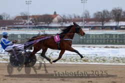 Dateiname=20251226_r02_038_R02_0186.jpg
Dateigröße=247KB
Abmessungen: 1000x667
hinzugefügt am: 27. Dezember 2025 20251226_r02_038_R02_0186.jpg