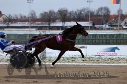 Dateiname=20251226_r02_039_R02_0189.jpg
Dateigröße=245KB
Abmessungen: 1000x667
hinzugefügt am: 27. Dezember 2025 20251226_r02_039_R02_0189.jpg