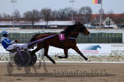 Dateiname=20251226_r02_040_R02_0190.jpg
Dateigröße=244KB
Abmessungen: 1000x667
hinzugefügt am: 27. Dezember 2025 20251226_r02_040_R02_0190.jpg