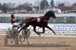 Dateiname=20251226_r02_064_R02_0251.jpg
Dateigröße=258KB
Abmessungen: 1000x667
hinzugefügt am: 27. Dezember 2025 20251226_r02_064_R02_0251.jpg