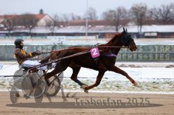 Dateiname=20251226_r02_066_R02_0258.jpg
Dateigröße=250KB
Abmessungen: 1000x667
hinzugefügt am: 27. Dezember 2025 20251226_r02_066_R02_0258.jpg