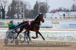 Dateiname=20251226_r02_081_R02_0298.jpg
Dateigröße=256KB
Abmessungen: 1000x667
hinzugefügt am: 27. Dezember 2025 20251226_r02_081_R02_0298.jpg