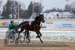 Dateiname=20251226_r02_082_R02_0299.jpg
Dateigröße=257KB
Abmessungen: 1000x667
hinzugefügt am: 27. Dezember 2025 20251226_r02_082_R02_0299.jpg