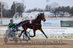 Dateiname=20251226_r02_083_R02_0302.jpg
Dateigröße=254KB
Abmessungen: 1000x667
hinzugefügt am: 27. Dezember 2025 20251226_r02_083_R02_0302.jpg