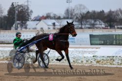 Dateiname=20251226_r02_084_R02_0303.jpg
Dateigröße=245KB
Abmessungen: 1000x667
hinzugefügt am: 27. Dezember 2025 20251226_r02_084_R02_0303.jpg