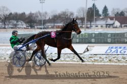 Dateiname=20251226_r02_086_R02_0310.jpg
Dateigröße=253KB
Abmessungen: 1000x667
hinzugefügt am: 27. Dezember 2025 20251226_r02_086_R02_0310.jpg