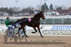 Dateiname=20251226_r02_087_R02_0311.jpg
Dateigröße=256KB
Abmessungen: 1000x667
hinzugefügt am: 27. Dezember 2025 20251226_r02_087_R02_0311.jpg