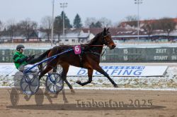 Dateiname=20251226_r02_088_R02_0314.jpg
Dateigröße=265KB
Abmessungen: 1000x667
hinzugefügt am: 27. Dezember 2025 20251226_r02_088_R02_0314.jpg