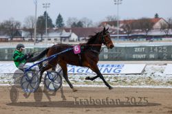 Dateiname=20251226_r02_089_R02_0315.jpg
Dateigröße=261KB
Abmessungen: 1000x667
hinzugefügt am: 27. Dezember 2025 20251226_r02_089_R02_0315.jpg