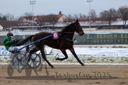 Dateiname=20251226_r02_090_R02_0319.jpg
Dateigröße=257KB
Abmessungen: 1000x667
hinzugefügt am: 27. Dezember 2025 20251226_r02_090_R02_0319.jpg