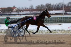 Dateiname=20251226_r02_091_R02_0322.jpg
Dateigröße=255KB
Abmessungen: 1000x667
hinzugefügt am: 27. Dezember 2025 20251226_r02_091_R02_0322.jpg