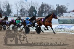 Dateiname=20251226_r02_102_R02_0351.jpg
Dateigröße=272KB
Abmessungen: 1000x667
hinzugefügt am: 27. Dezember 2025 20251226_r02_102_R02_0351.jpg