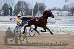 Dateiname=20251226_r03_002_R03_0004.jpg
Dateigröße=246KB
Abmessungen: 1000x667
hinzugefügt am: 27. Dezember 2025 20251226_r03_002_R03_0004.jpg