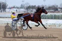 Dateiname=20251226_r03_004_R03_0008.jpg
Dateigröße=246KB
Abmessungen: 1000x667
hinzugefügt am: 27. Dezember 2025 20251226_r03_004_R03_0008.jpg