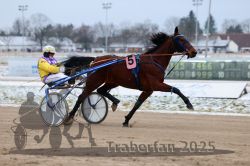 Dateiname=20251226_r03_005_R03_0010.jpg
Dateigröße=247KB
Abmessungen: 1000x667
hinzugefügt am: 27. Dezember 2025 20251226_r03_005_R03_0010.jpg