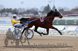 Dateiname=20251226_r03_006_R03_0011.jpg
Dateigröße=246KB
Abmessungen: 1000x667
hinzugefügt am: 27. Dezember 2025 20251226_r03_006_R03_0011.jpg