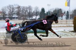 Dateiname=20251226_r03_027_R03_0054.jpg
Dateigröße=249KB
Abmessungen: 1000x667
hinzugefügt am: 27. Dezember 2025 20251226_r03_027_R03_0054.jpg