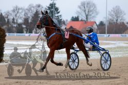 Dateiname=20251226_r03_028_R03_0058.jpg
Dateigröße=265KB
Abmessungen: 1000x667
hinzugefügt am: 27. Dezember 2025 20251226_r03_028_R03_0058.jpg