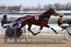 Dateiname=20251226_r03_033_R03_0079.jpg
Dateigröße=273KB
Abmessungen: 1000x667
hinzugefügt am: 27. Dezember 2025 20251226_r03_033_R03_0079.jpg