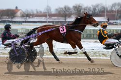 Dateiname=20251226_r03_034_R03_0080.jpg
Dateigröße=277KB
Abmessungen: 1000x667
hinzugefügt am: 27. Dezember 2025 20251226_r03_034_R03_0080.jpg