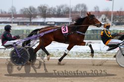 Dateiname=20251226_r03_035_R03_0082.jpg
Dateigröße=275KB
Abmessungen: 1000x667
hinzugefügt am: 27. Dezember 2025 20251226_r03_035_R03_0082.jpg