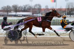 Dateiname=20251226_r03_036_R03_0083.jpg
Dateigröße=271KB
Abmessungen: 1000x667
hinzugefügt am: 27. Dezember 2025 20251226_r03_036_R03_0083.jpg