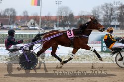 Dateiname=20251226_r03_037_R03_0086.jpg
Dateigröße=271KB
Abmessungen: 1000x667
hinzugefügt am: 27. Dezember 2025 20251226_r03_037_R03_0086.jpg