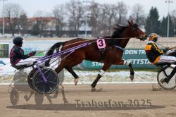 Dateiname=20251226_r03_039_R03_0089.jpg
Dateigröße=276KB
Abmessungen: 1000x667
hinzugefügt am: 27. Dezember 2025 20251226_r03_039_R03_0089.jpg