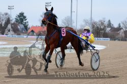 Dateiname=20251226_r03_040_R03_0092.jpg
Dateigröße=255KB
Abmessungen: 1000x667
hinzugefügt am: 27. Dezember 2025 20251226_r03_040_R03_0092.jpg