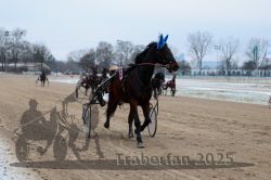 Dateiname=20251226_r03_042_R03_0102.jpg
Dateigröße=243KB
Abmessungen: 1000x667
hinzugefügt am: 27. Dezember 2025 20251226_r03_042_R03_0102.jpg