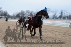 Dateiname=20251226_r03_043_R03_0104.jpg
Dateigröße=242KB
Abmessungen: 1000x667
hinzugefügt am: 27. Dezember 2025 20251226_r03_043_R03_0104.jpg