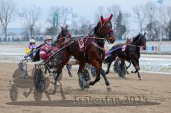 Dateiname=20251226_r03_045_R03_0111.jpg
Dateigröße=275KB
Abmessungen: 1000x667
hinzugefügt am: 27. Dezember 2025 20251226_r03_045_R03_0111.jpg