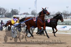 Dateiname=20251226_r03_046_R03_0116.jpg
Dateigröße=272KB
Abmessungen: 1000x667
hinzugefügt am: 27. Dezember 2025 20251226_r03_046_R03_0116.jpg