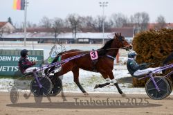 Dateiname=20251226_r03_049_R03_0122.jpg
Dateigröße=282KB
Abmessungen: 1000x667
hinzugefügt am: 27. Dezember 2025 20251226_r03_049_R03_0122.jpg