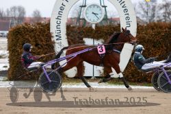 Dateiname=20251226_r03_050_R03_0126.jpg
Dateigröße=318KB
Abmessungen: 1000x667
hinzugefügt am: 27. Dezember 2025 20251226_r03_050_R03_0126.jpg