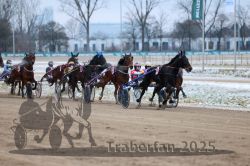 Dateiname=20251226_r03_051_R03_0128.jpg
Dateigröße=281KB
Abmessungen: 1000x667
hinzugefügt am: 27. Dezember 2025 20251226_r03_051_R03_0128.jpg