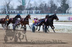 Dateiname=20251226_r03_053_R03_0133.jpg
Dateigröße=279KB
Abmessungen: 1000x667
hinzugefügt am: 27. Dezember 2025 20251226_r03_053_R03_0133.jpg