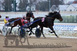 Dateiname=20251226_r03_057_R03_0141.jpg
Dateigröße=271KB
Abmessungen: 1000x667
hinzugefügt am: 27. Dezember 2025 20251226_r03_057_R03_0141.jpg