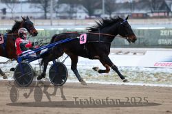 Dateiname=20251226_r03_059_R03_0145.jpg
Dateigröße=261KB
Abmessungen: 1000x667
hinzugefügt am: 27. Dezember 2025 20251226_r03_059_R03_0145.jpg