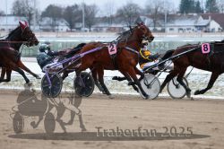 Dateiname=20251226_r03_060_R03_0149.jpg
Dateigröße=287KB
Abmessungen: 1000x667
hinzugefügt am: 27. Dezember 2025 20251226_r03_060_R03_0149.jpg