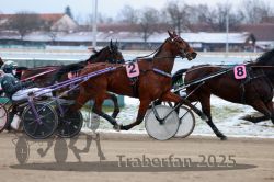 Dateiname=20251226_r03_063_R03_0154.jpg
Dateigröße=275KB
Abmessungen: 1000x667
hinzugefügt am: 27. Dezember 2025 20251226_r03_063_R03_0154.jpg