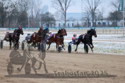 Dateiname=20251226_r03_064_R03_0157.jpg
Dateigröße=273KB
Abmessungen: 1000x667
hinzugefügt am: 27. Dezember 2025 20251226_r03_064_R03_0157.jpg