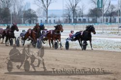 Dateiname=20251226_r03_065_R03_0159.jpg
Dateigröße=274KB
Abmessungen: 1000x667
hinzugefügt am: 27. Dezember 2025 20251226_r03_065_R03_0159.jpg