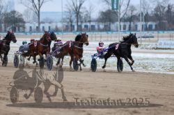 Dateiname=20251226_r03_066_R03_0161.jpg
Dateigröße=270KB
Abmessungen: 1000x667
hinzugefügt am: 27. Dezember 2025 20251226_r03_066_R03_0161.jpg