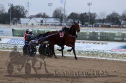 Dateiname=20251226_r03_085_R03_0205.jpg
Dateigröße=247KB
Abmessungen: 1000x667
hinzugefügt am: 27. Dezember 2025 20251226_r03_085_R03_0205.jpg