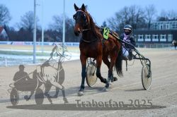 Dateiname=20251226_r05_050_R05_0138.jpg
Dateigröße=266KB
Abmessungen: 1000x667
hinzugefügt am: 27. Dezember 2025 20251226_r05_050_R05_0138.jpg