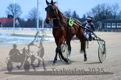 Dateiname=20251226_r05_051_R05_0140.jpg
Dateigröße=286KB
Abmessungen: 1000x667
hinzugefügt am: 27. Dezember 2025 20251226_r05_051_R05_0140.jpg