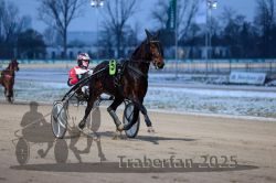 Dateiname=20251226_r05_054_R05_0148.jpg
Dateigröße=243KB
Abmessungen: 1000x667
hinzugefügt am: 27. Dezember 2025 20251226_r05_054_R05_0148.jpg