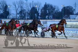 Dateiname=20251226_r05_064_R05_0169.jpg
Dateigröße=296KB
Abmessungen: 1000x667
hinzugefügt am: 27. Dezember 2025 20251226_r05_064_R05_0169.jpg